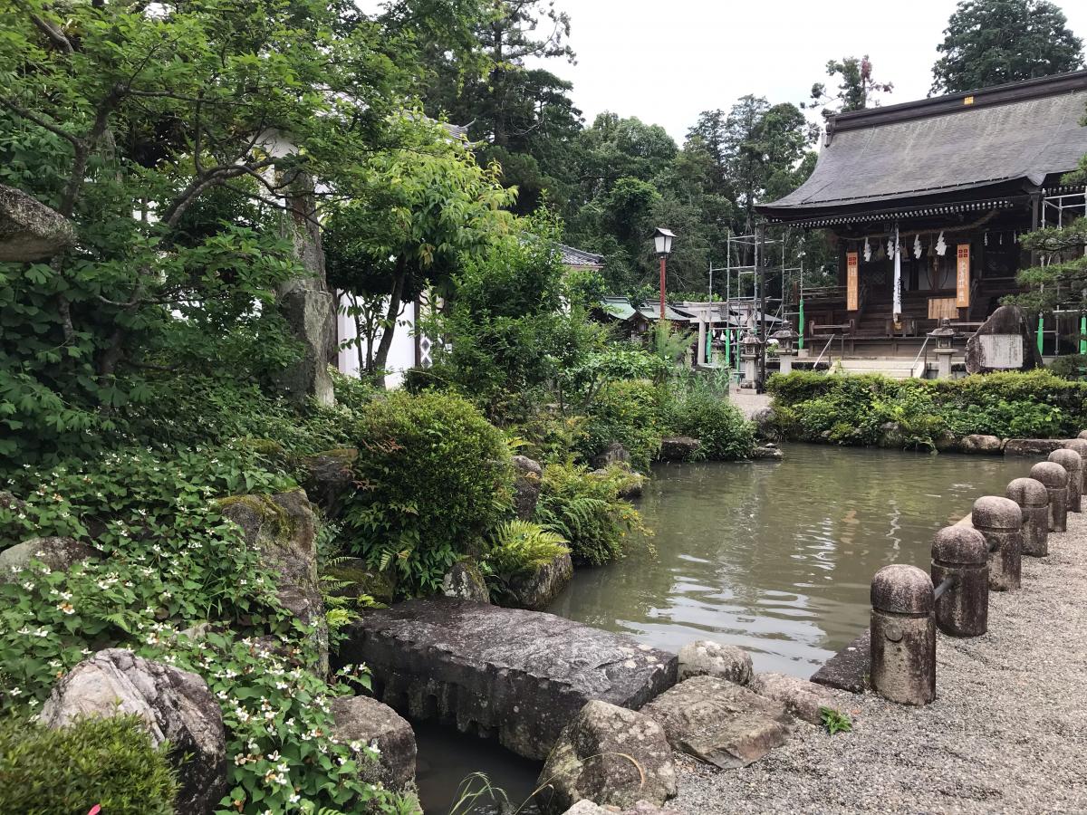 マーケットピア 谷美鳥園 近江八幡店 近江八幡市 周辺施設 口コミ 写真 動画