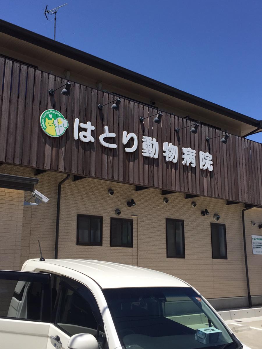 ドッグメディカル はとり動物病院 名古屋市中川区服部