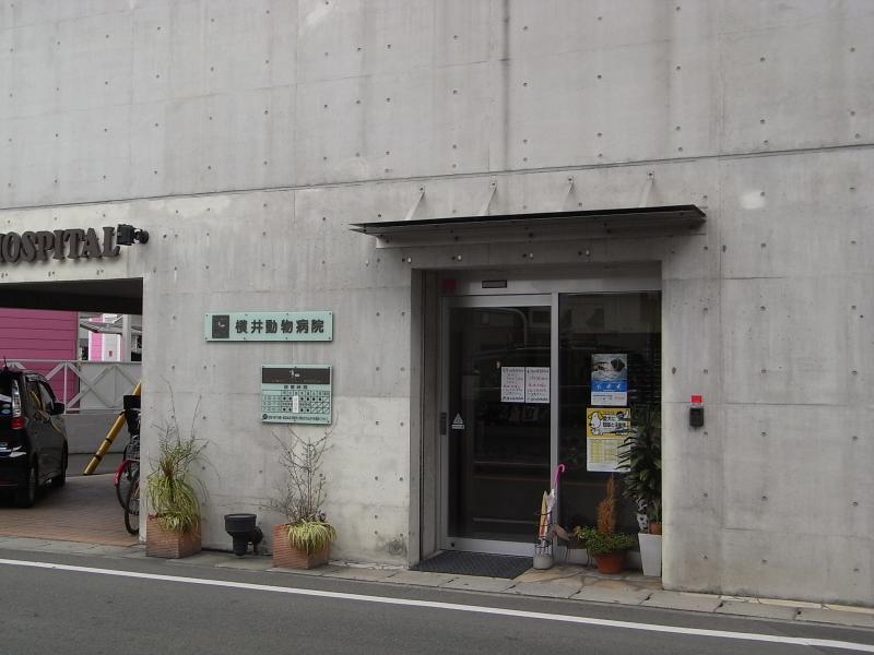 ドッグメディカル 横井動物病院 東大阪市鴻池元町