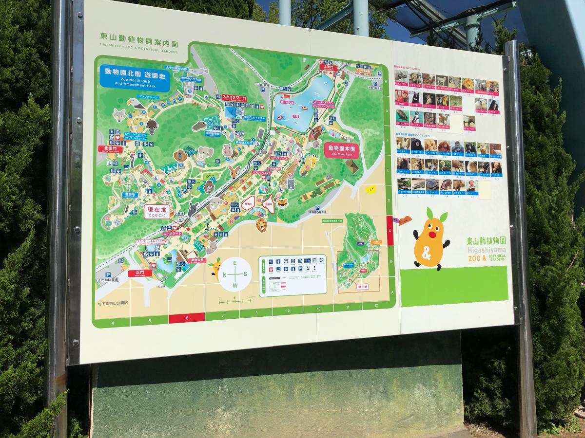 旅探 たびたん 東山動物園 東山動植物園 名古屋市千種区 のお気に入りコメント 口コミ