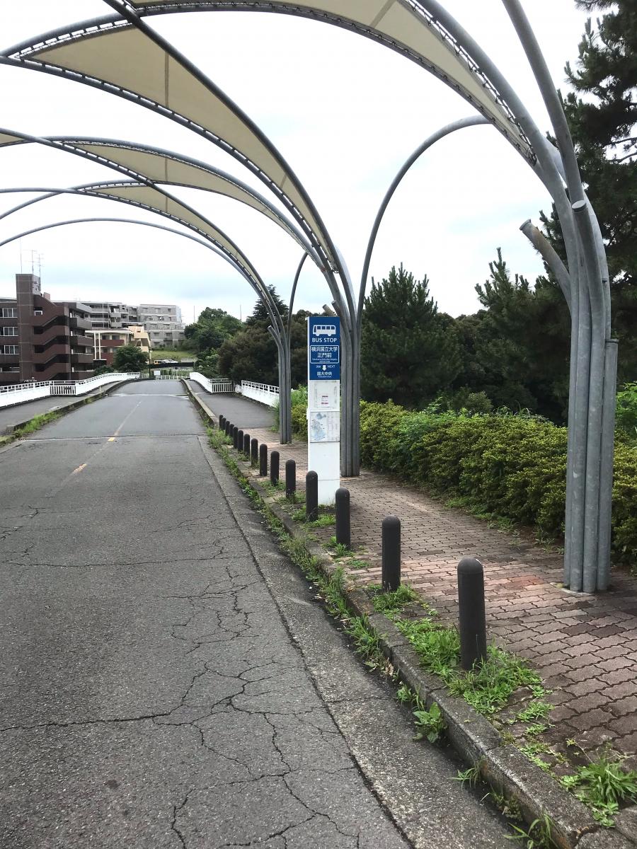ユキサキナビ 横浜市営バス 横浜国立大学正門前 バス停留所 横浜市保土ケ谷区常盤台