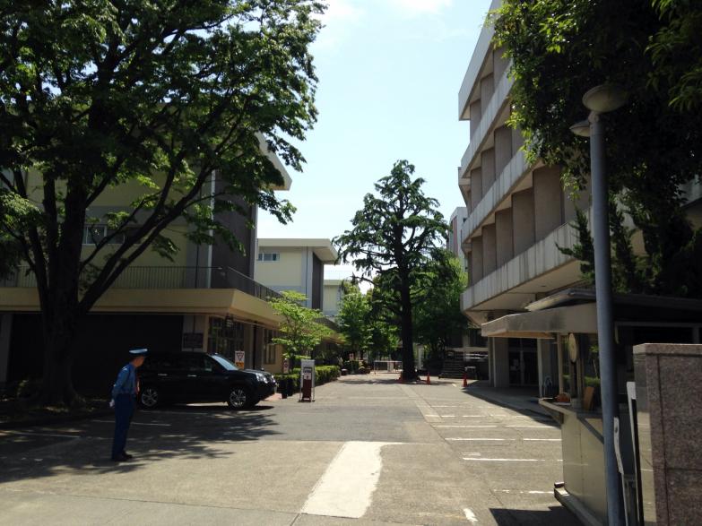 スタディピア 桐朋女子高校