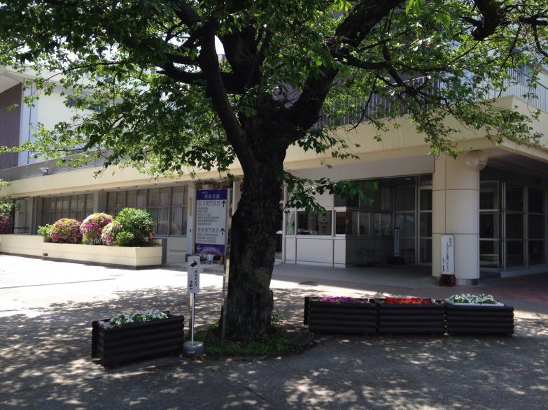 スタディピア 桐朋女子高校