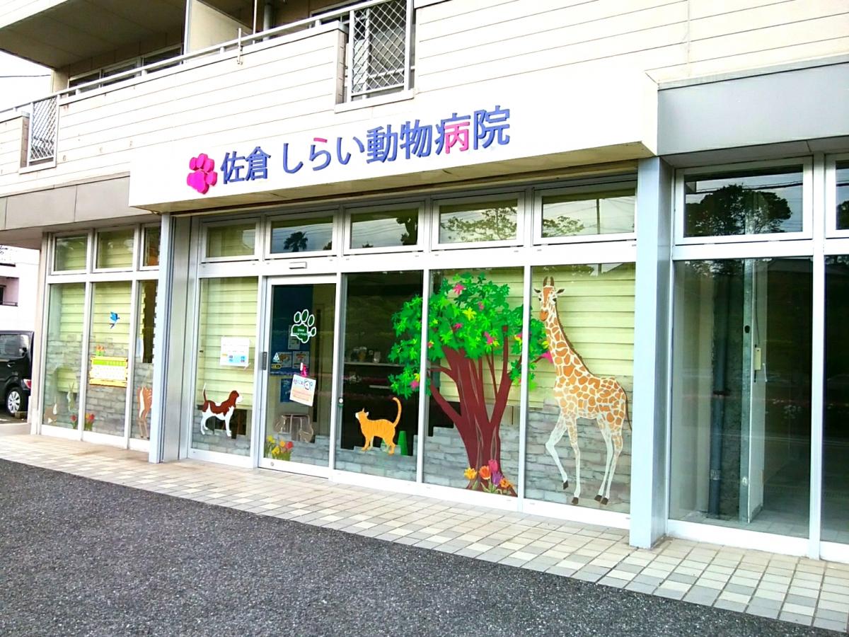 バンクマップ】千葉信用金庫佐倉支店(佐倉市)周辺施設 口コミ/写真