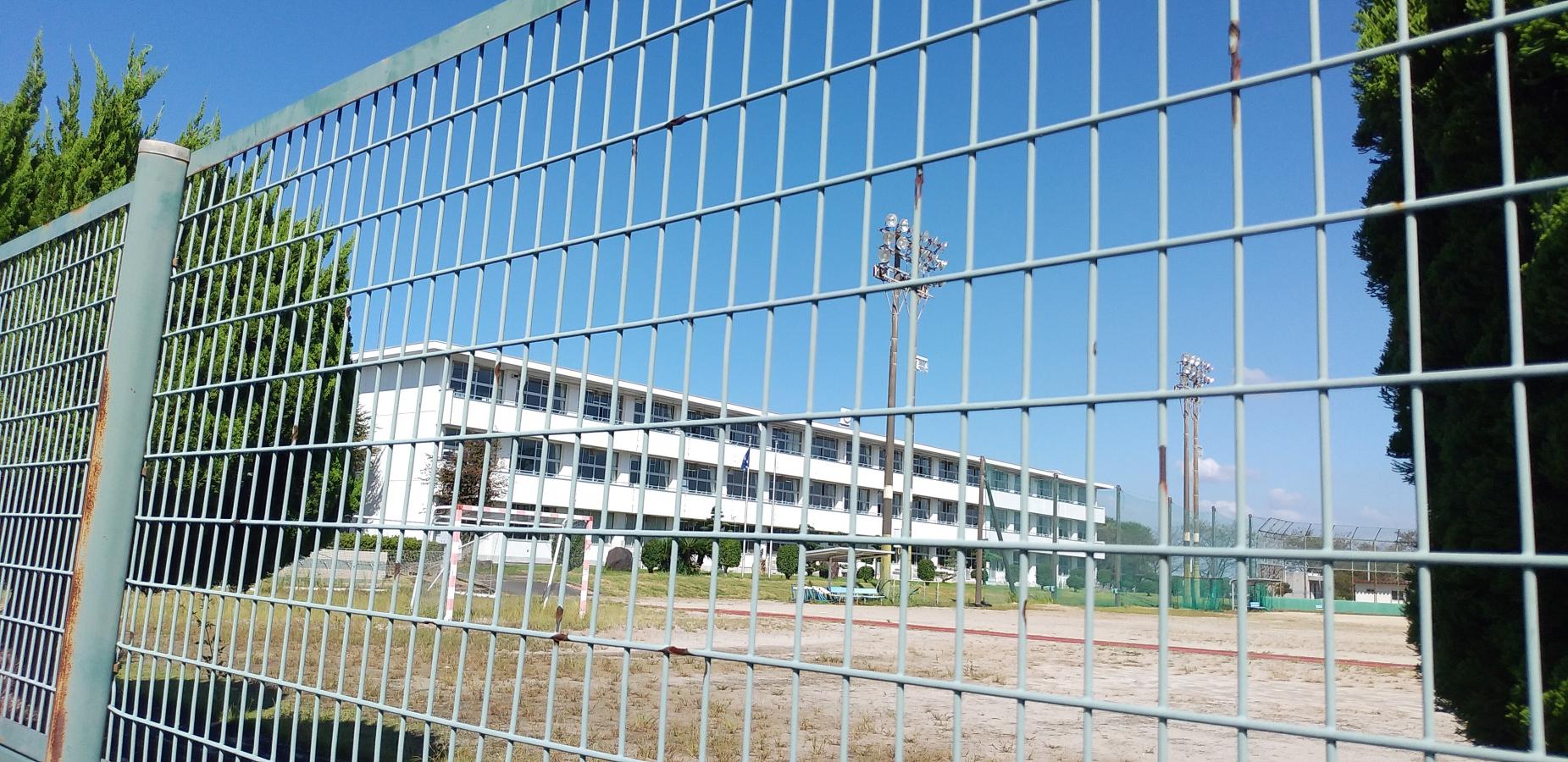 スタディピア 最近投稿された口コミ