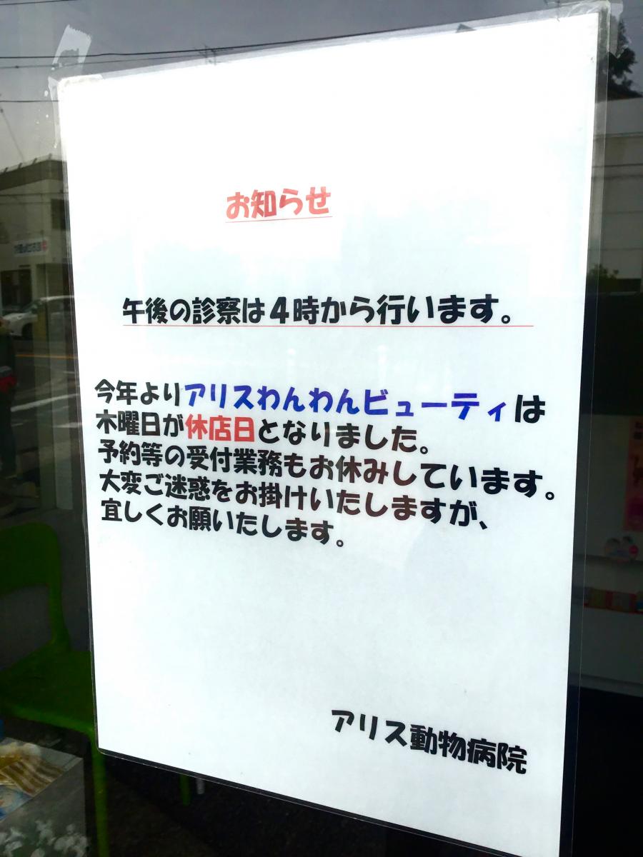 ドッグメディカル アリス動物病院 横浜市港北区大曽根 ドッグメディカル アリス動物病院 横浜市港北区大曽根