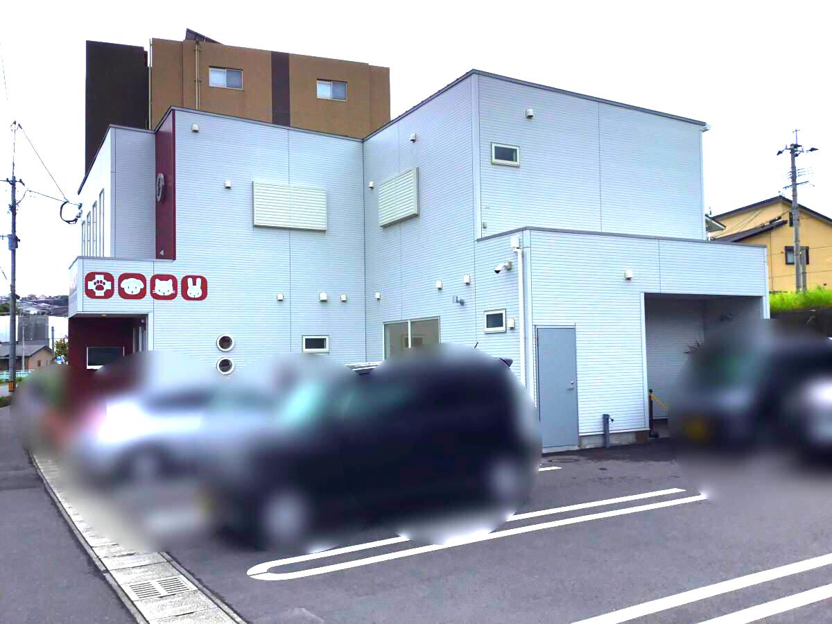 ドッグメディカル さくらペットクリニック 鹿児島市広木