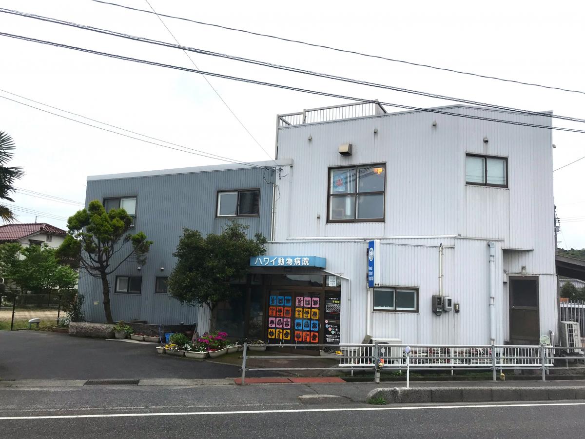 ドッグメディカル ハワイ動物病院 東伯郡湯梨浜町はわい長瀬