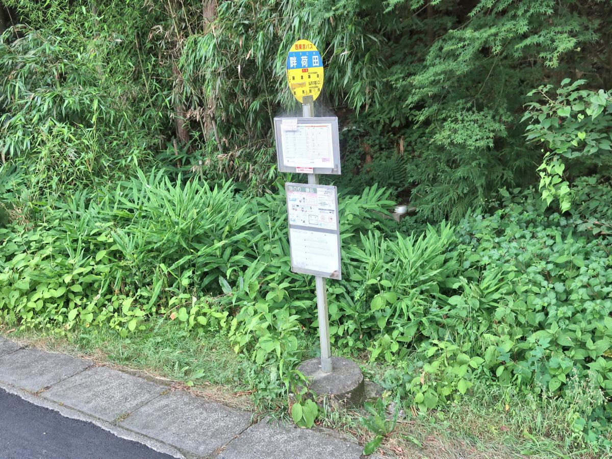 パブリネット 周辺施設の口コミ 写真 動画 コテージ森林村