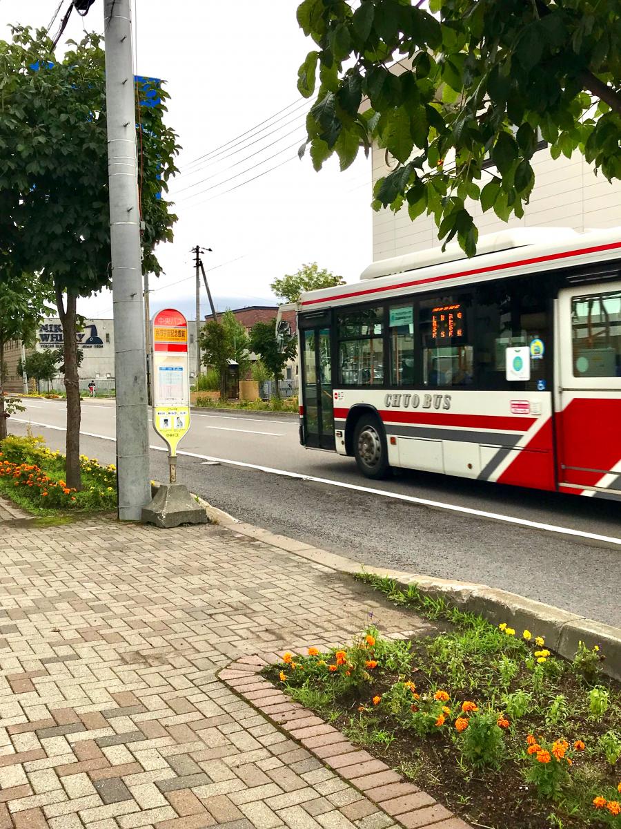 マーケットピア セブンイレブン 余市入舟店 余市郡余市町 周辺施設 口コミ 写真 動画