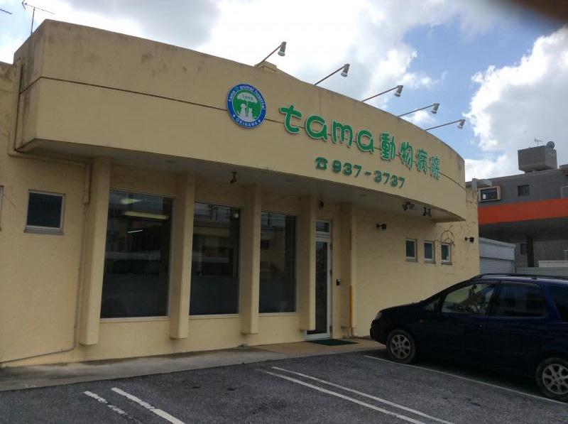 ドッグメディカル ｔａｍａ動物病院 沖縄市古謝