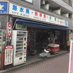 ドッグメディカル いぐさ動物病院 杉並区井草