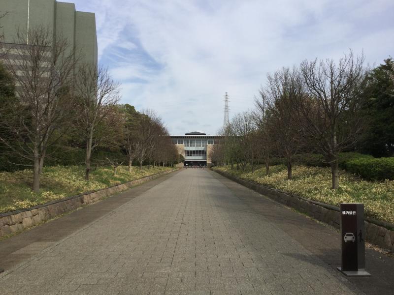 ファッショントレンド 心に強く訴える鎌倉 女子 大学 口コミ