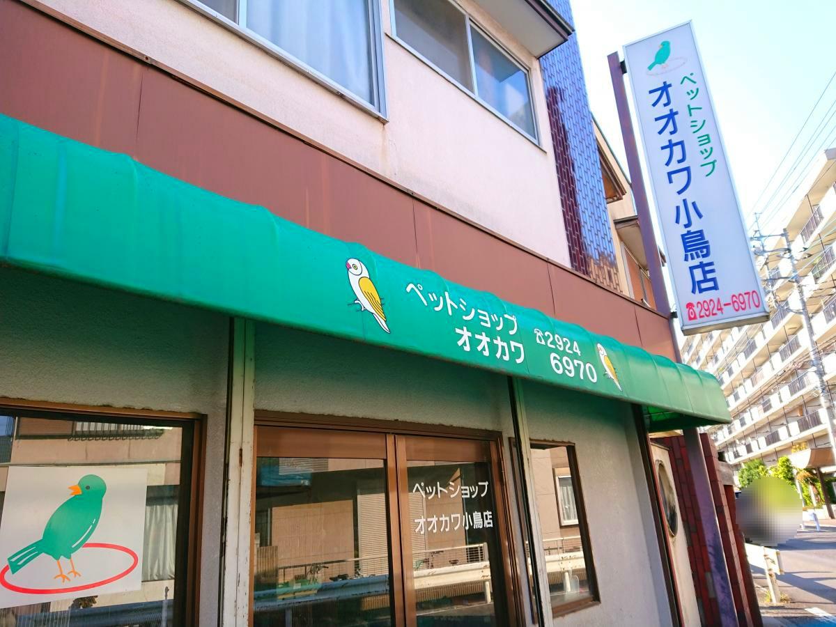 マーケットピア ペットショップオオカワ 所沢市向陽町