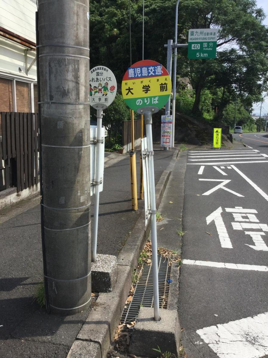 柔整ナビ 鹿児島第一医療リハビリ専門学校 霧島市 周辺施設 口コミ 写真 動画 柔整ナビ 鹿児島第一医療リハビリ専門学校 霧島市 周辺施設 口コミ 写真 動画