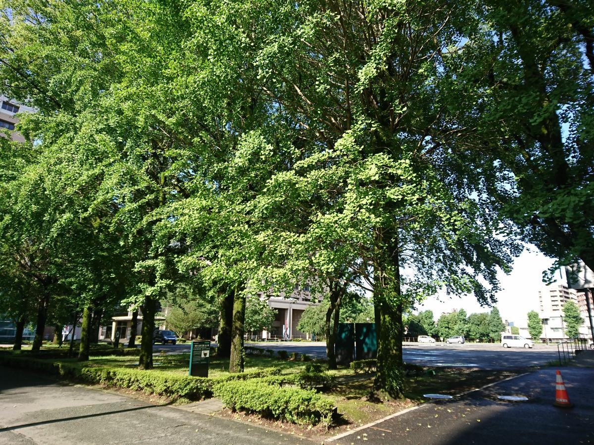スタディピア 熊本大学 黒髪南キャンパス 熊本市中央区黒髪