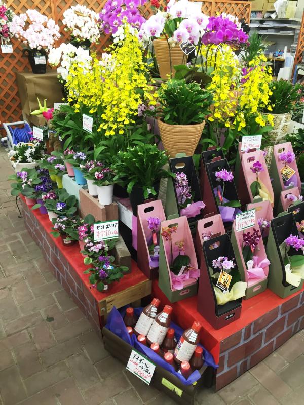 マーケットピア ダイユーエイト会津若松店 会津若松市駅前町 マーケットピア ダイユーエイト会津若松店 会津若松市駅前町