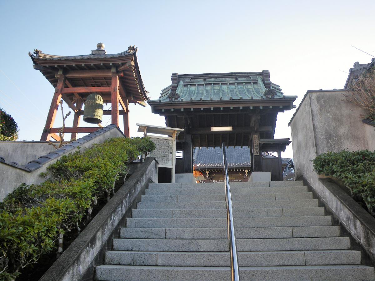 旅探 たびたん 照願寺