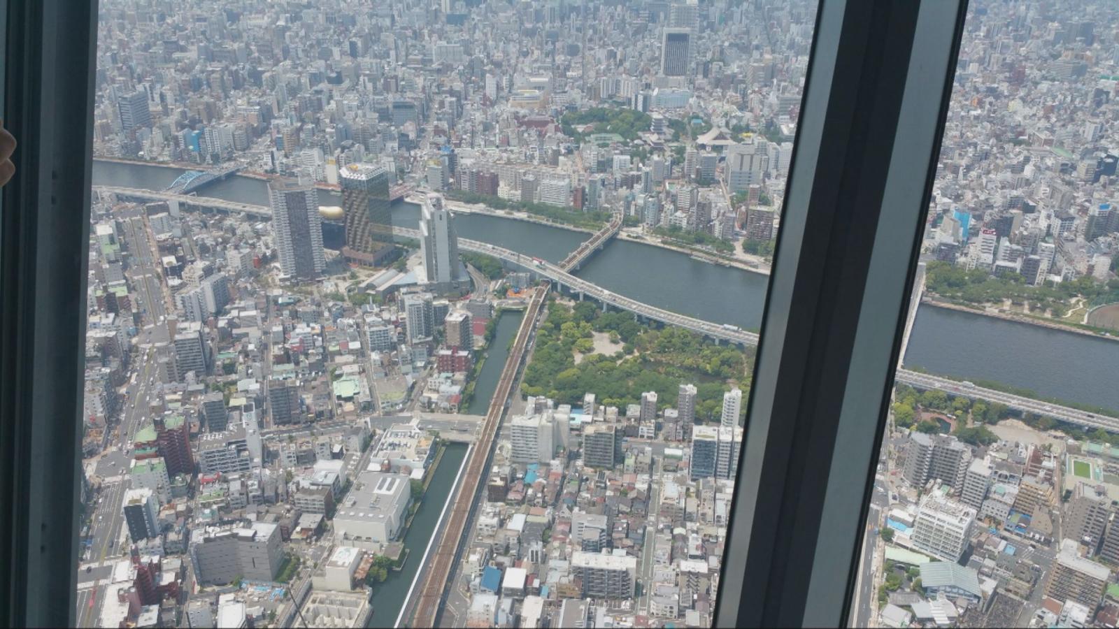 旅探 たびたん 東京が一望できます 東京スカイツリー