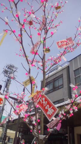 旅探 たびたん 大館アメッコ市 大館市