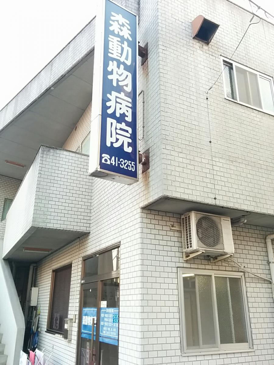 旅探 たびたん 松山バプテスト教会 松山市 周辺施設 口コミ 写真 動画 旅探 たびたん 松山バプテスト教会 松山市 周辺施設 口コミ 写真 動画