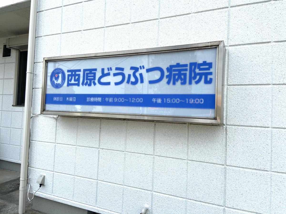 ドッグメディカル 西原動物病院 鎌ケ谷市東初富