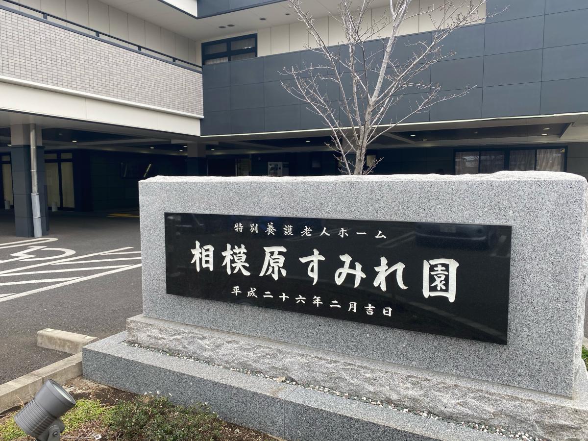 ドッグメディカル ちだペットクリニック 相模原市南区 周辺施設 口コミ 写真 動画