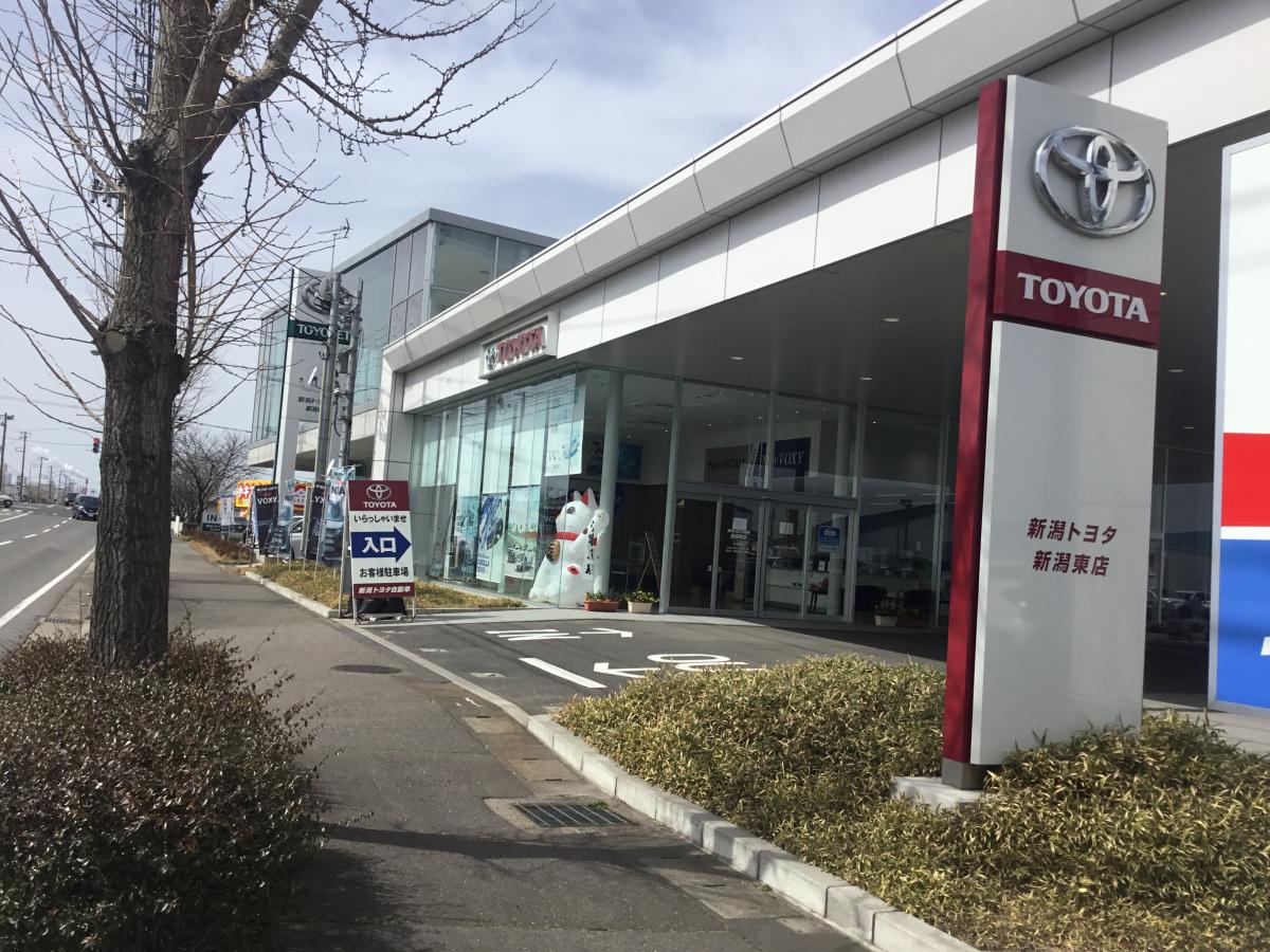 マーケットピア 新潟トヨタ自動車新潟東店