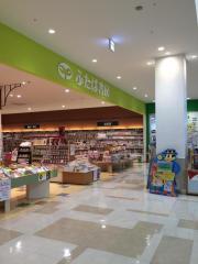 ドクターマップ 西本歯科医院 尼崎市 の周辺施設写真一覧 1ページ