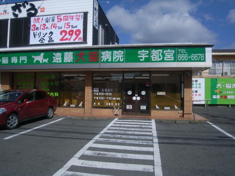 ドッグメディカル 遠藤犬猫病院 宇都宮市上大曽町