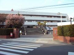 スタディピア 松山市の大学一覧 ホームメイト