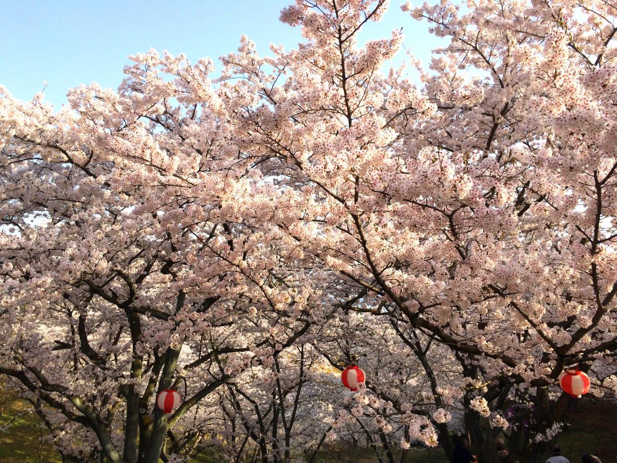 パブリネット 開山公園 パブリネット 開山公園