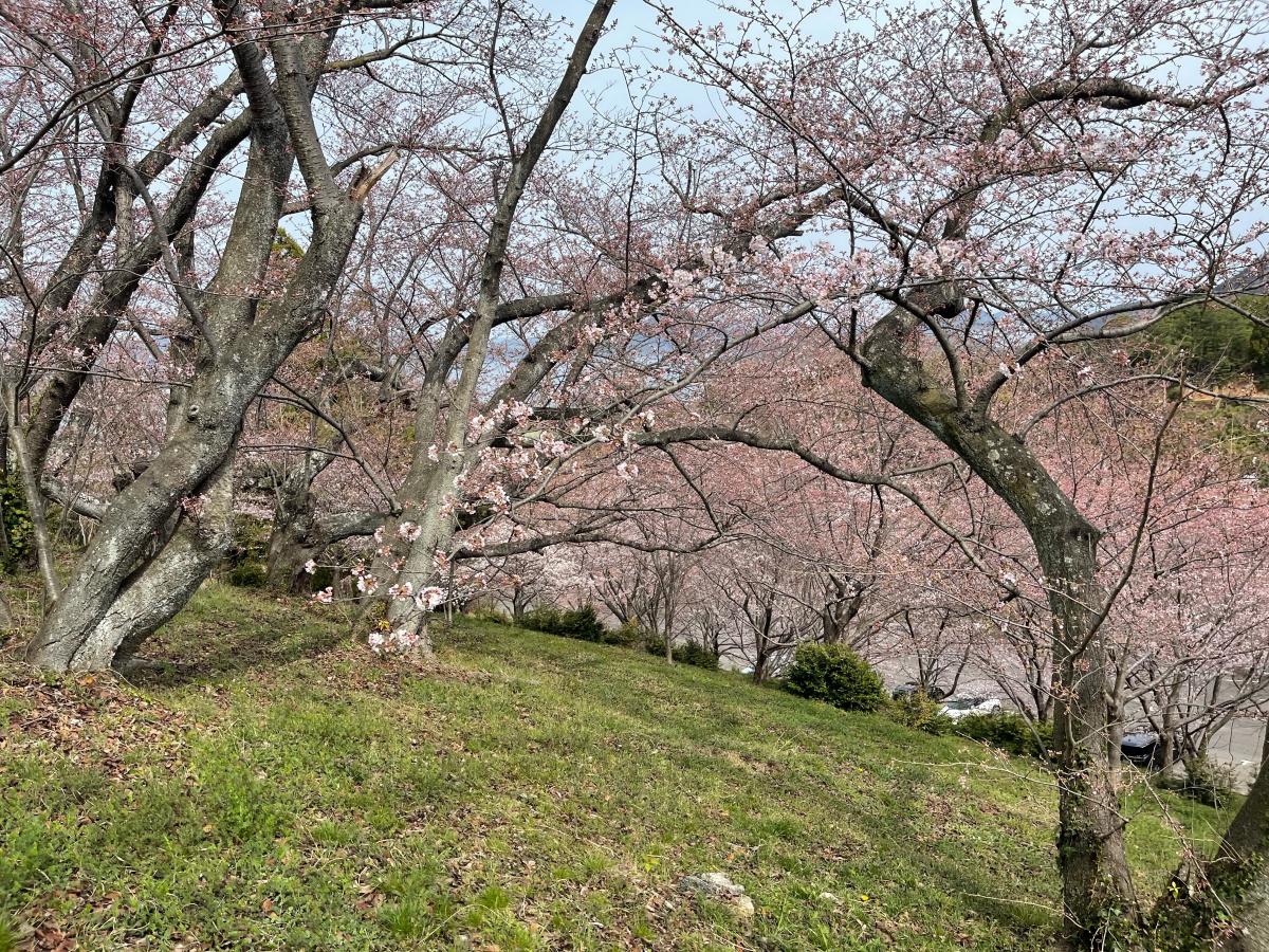 パブリネット 開山公園 パブリネット 開山公園