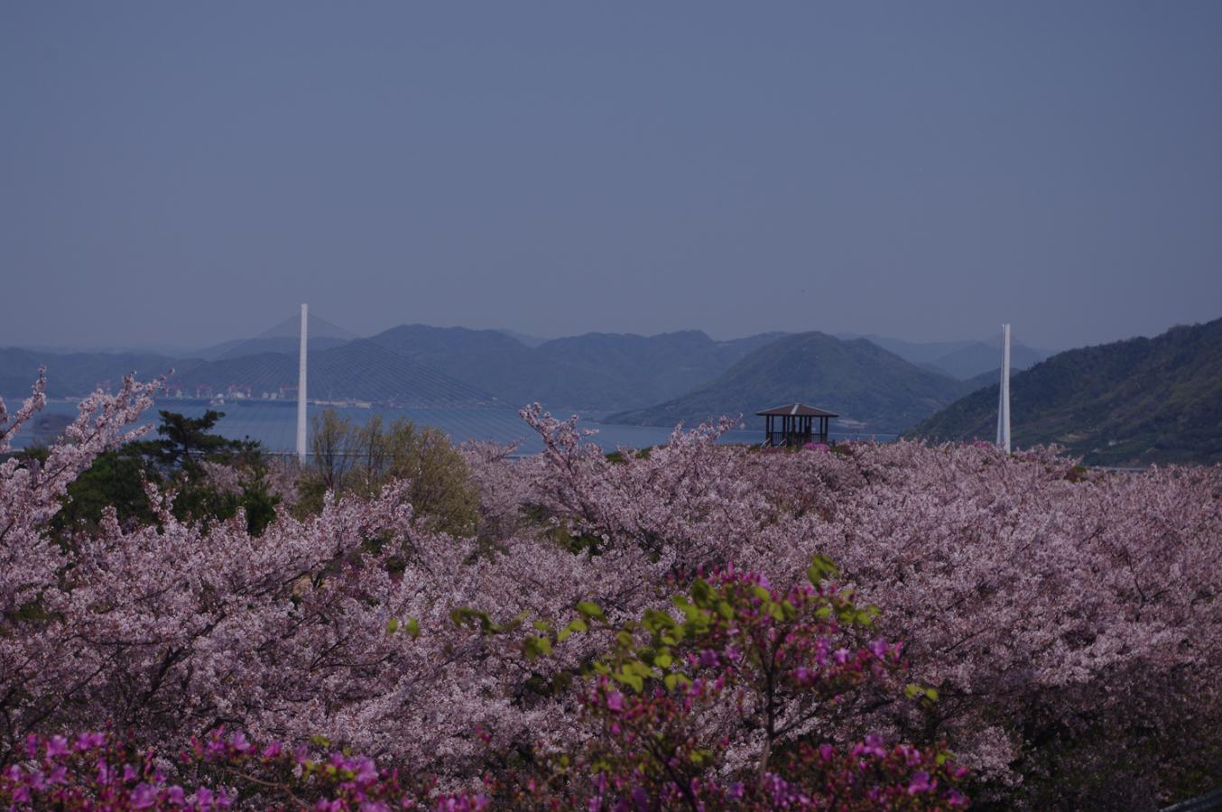パブリネット 開山公園 パブリネット 開山公園