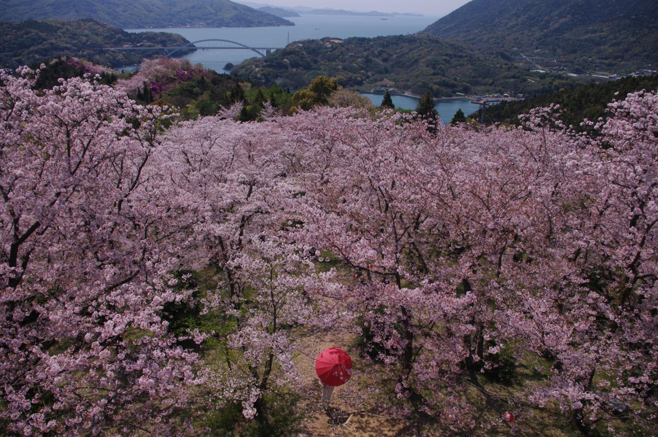 パブリネット 開山公園 パブリネット 開山公園