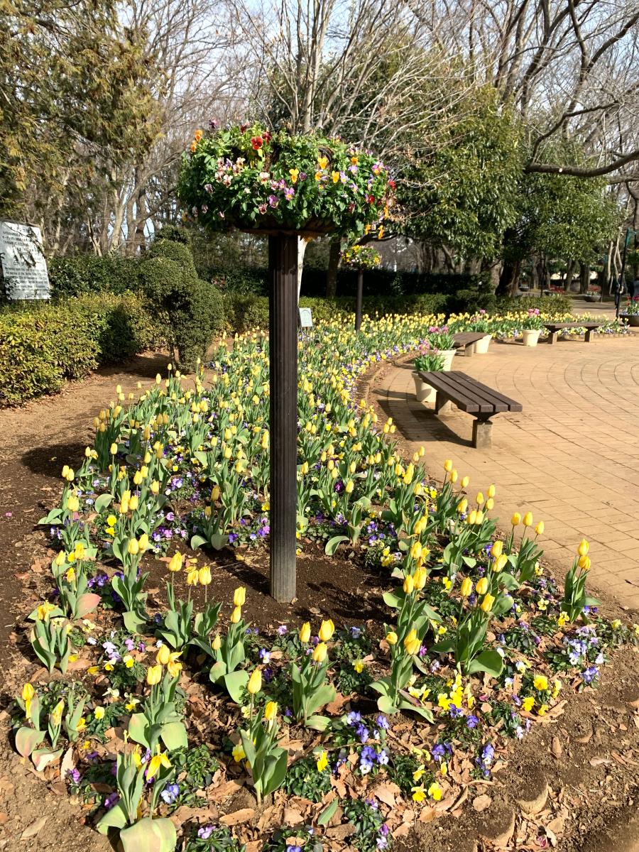 パブリネット 口コミ ふなばしアンデルセン公園