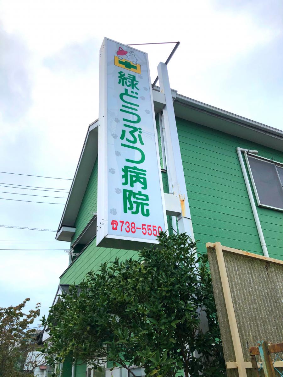 ドッグメディカル 春日部緑どうぶつ病院 春日部市緑町