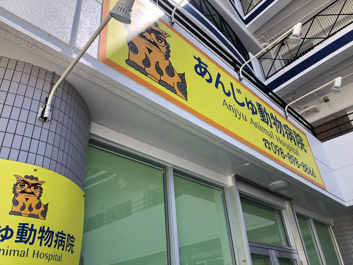 ドッグメディカル あんじゅ動物病院 宜野湾市真志喜