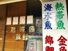 ドクターマップ 鳥田診療所 神戸市中央区 の周辺施設写真一覧 5ページ