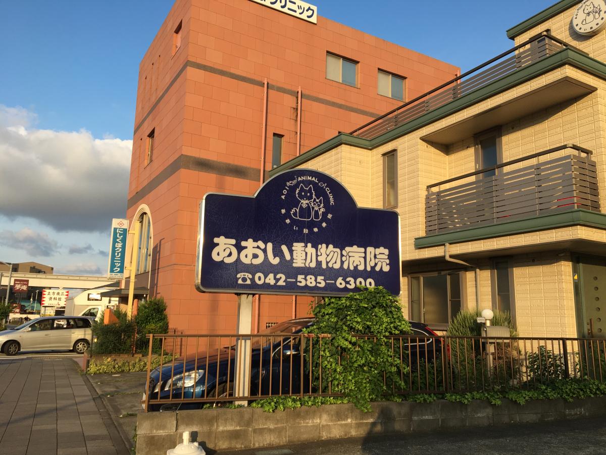 ドッグメディカル あおい動物病院 日野市石田