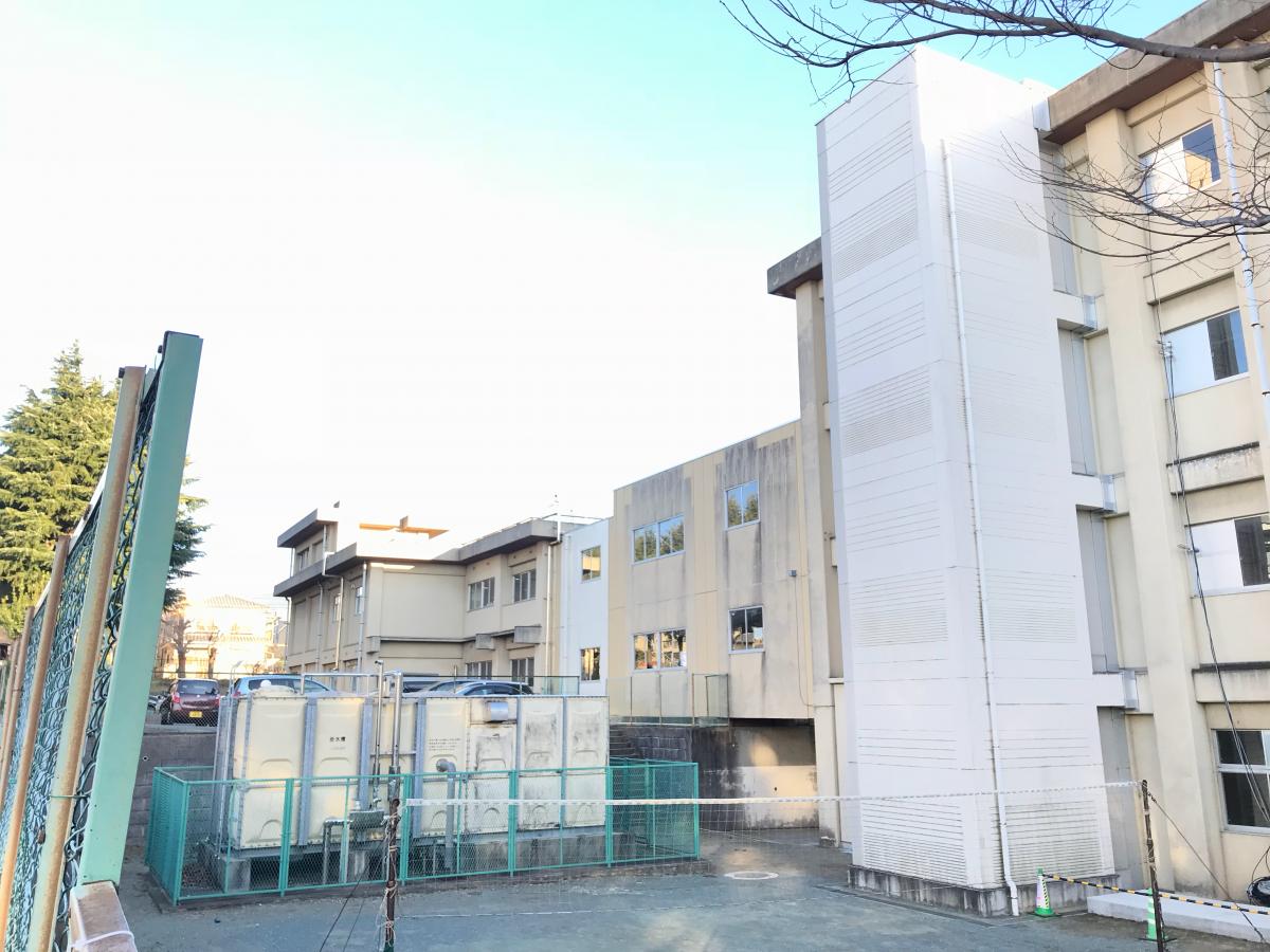 保育園 幼稚園