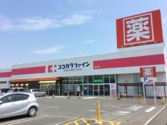 ドラッグストア 薬局 薬店