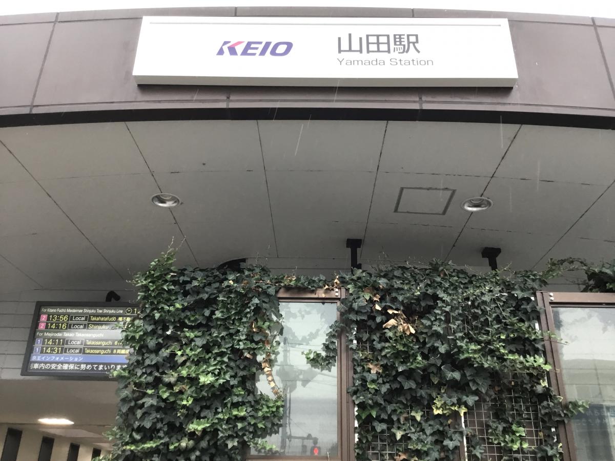 接骨ネット ふじもり桜花整骨院 八王子市 周辺施設 口コミ 写真 動画