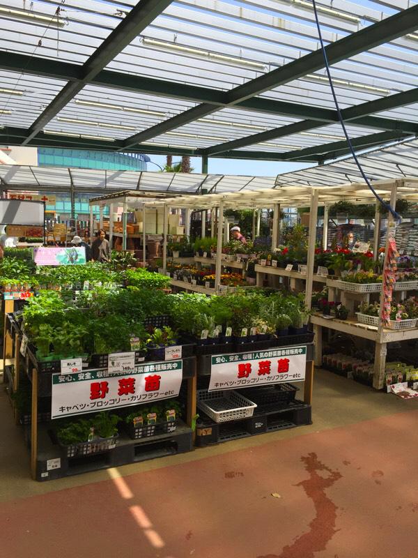 マーケットピア ロイヤルホームセンター藤沢店 藤沢市辻堂新町