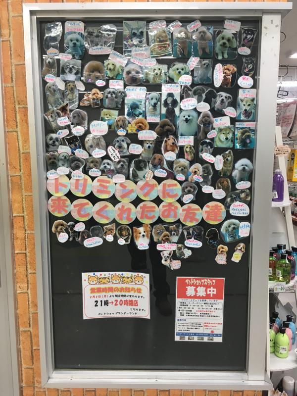 マーケットピア ワンダーランド大泉店 練馬区大泉町