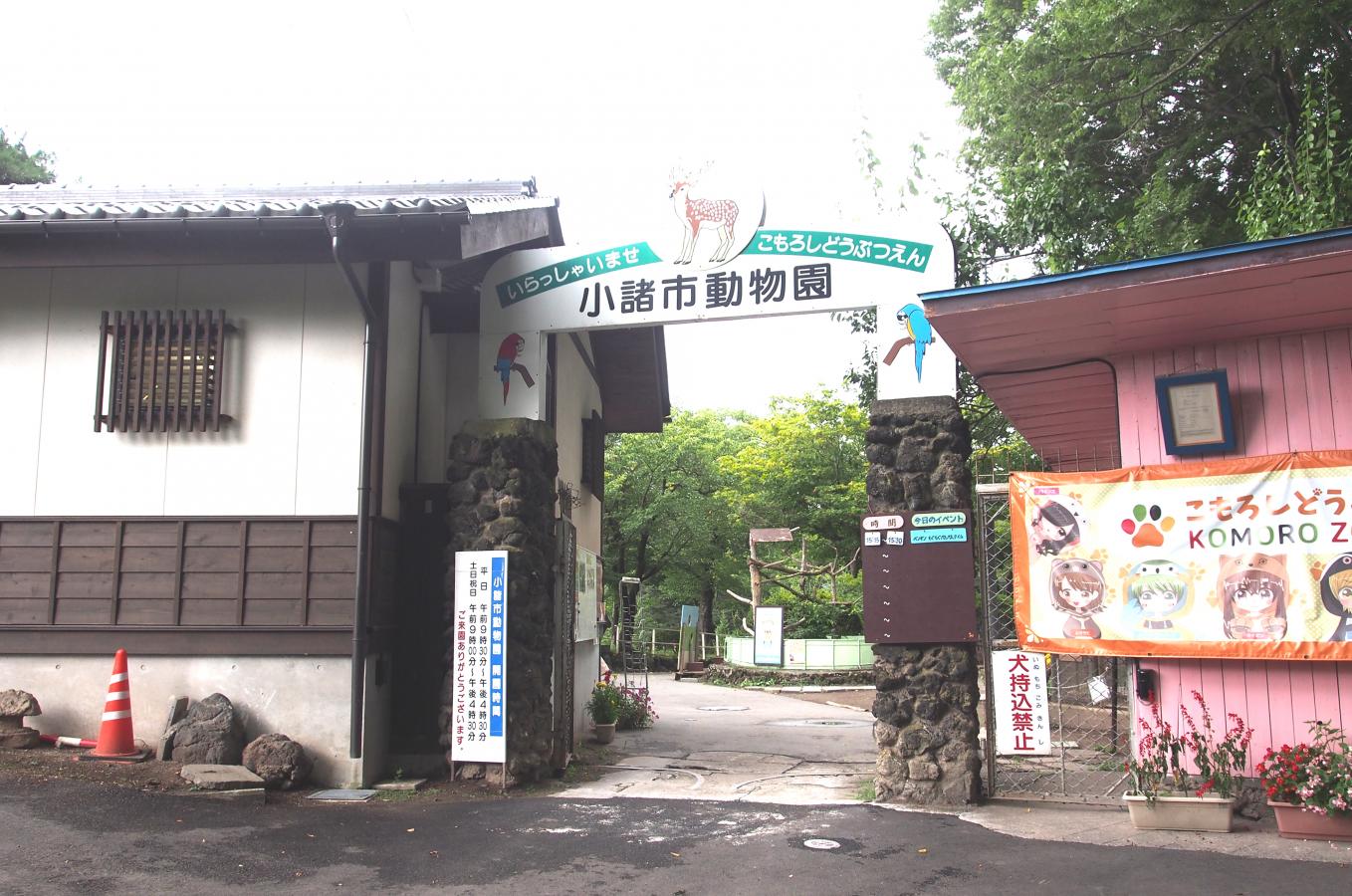 旅探 たびたん 小諸市動物園 小諸市丁