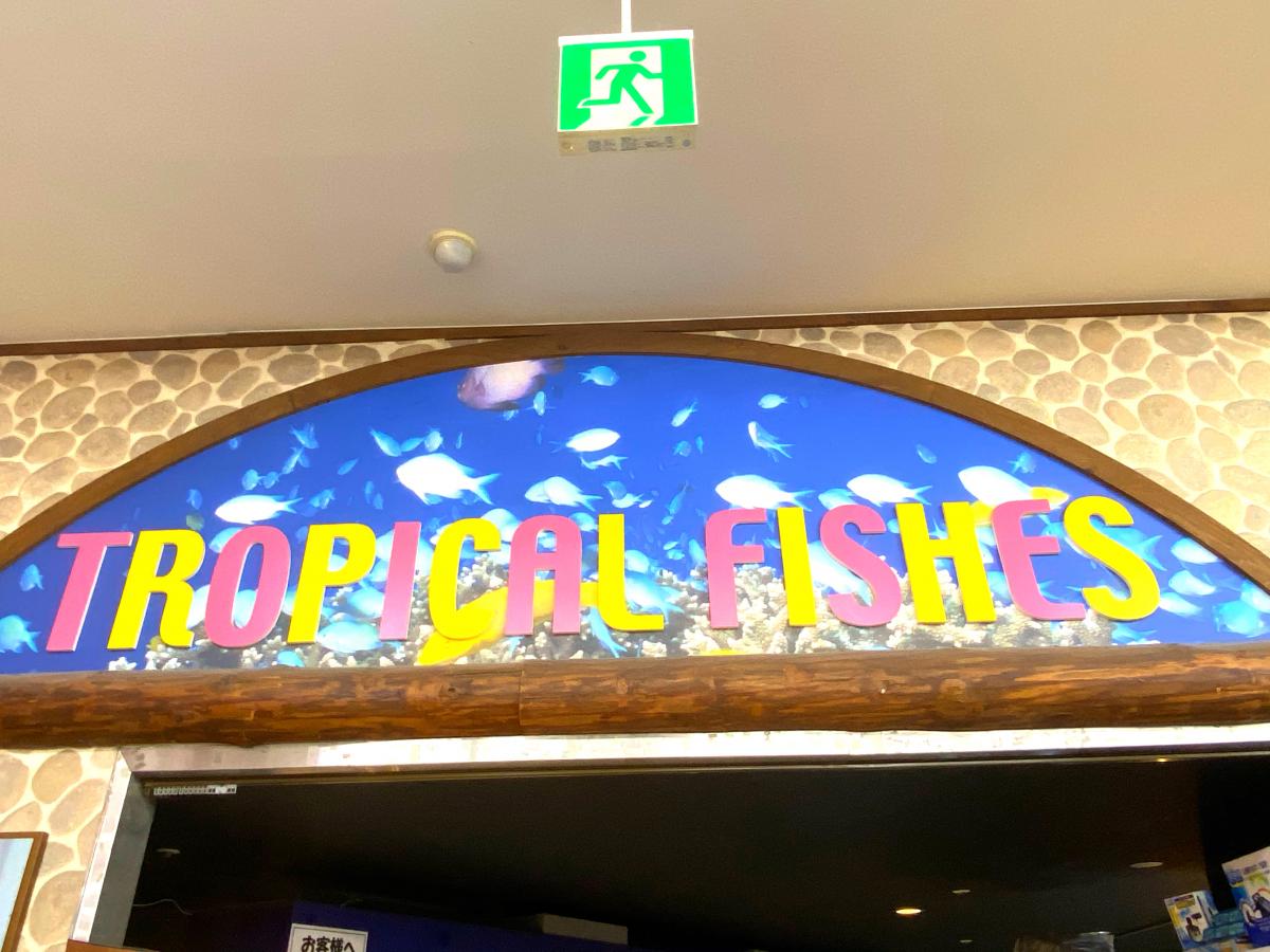 マーケットピア ペットハウスウインクダイキ川内店 広島市安佐南区川内