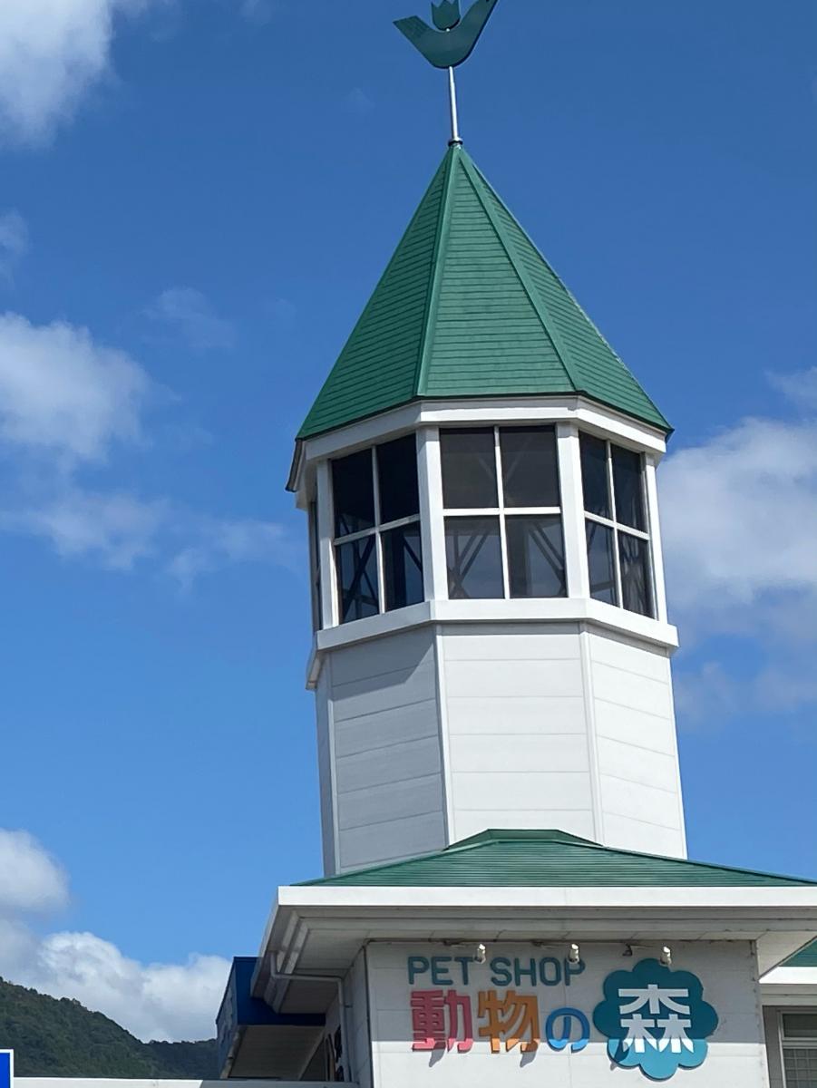 マーケットピア ペットハウスウインクダイキ川内店 広島市安佐南区川内