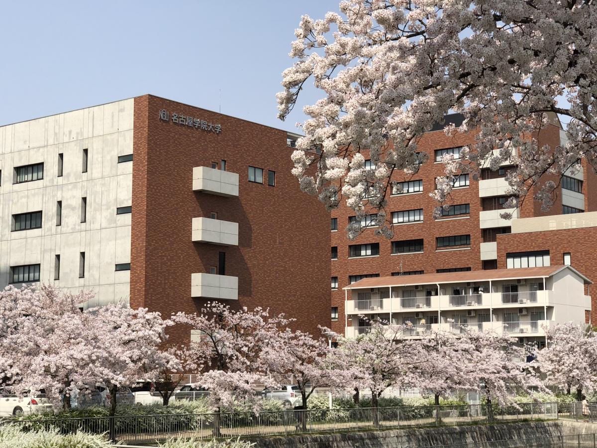 スタディピア 名古屋学院大学名古屋キャンパス白鳥学舎 名古屋市熱田区 の投稿ユーザーアルバム