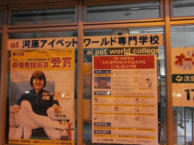 スタディピア アイペットワールド専門学校 松山市南堀端町